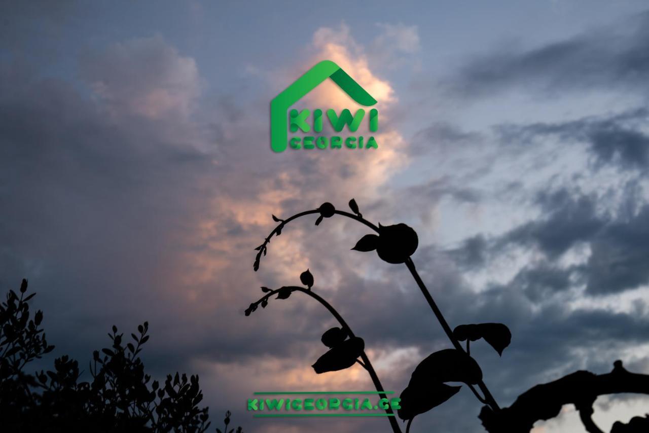 Kiwi Georgia Villa Kobuleti Exterior photo