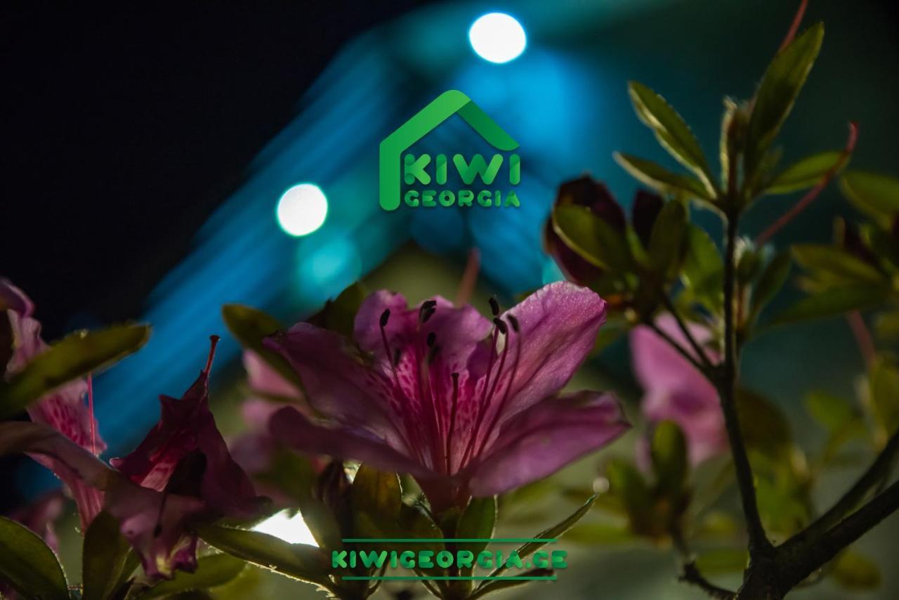 Kiwi Georgia Villa Kobuleti Exterior photo