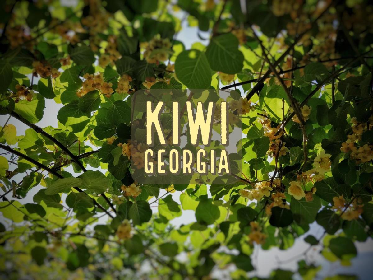 Kiwi Georgia Villa Kobuleti Exterior photo