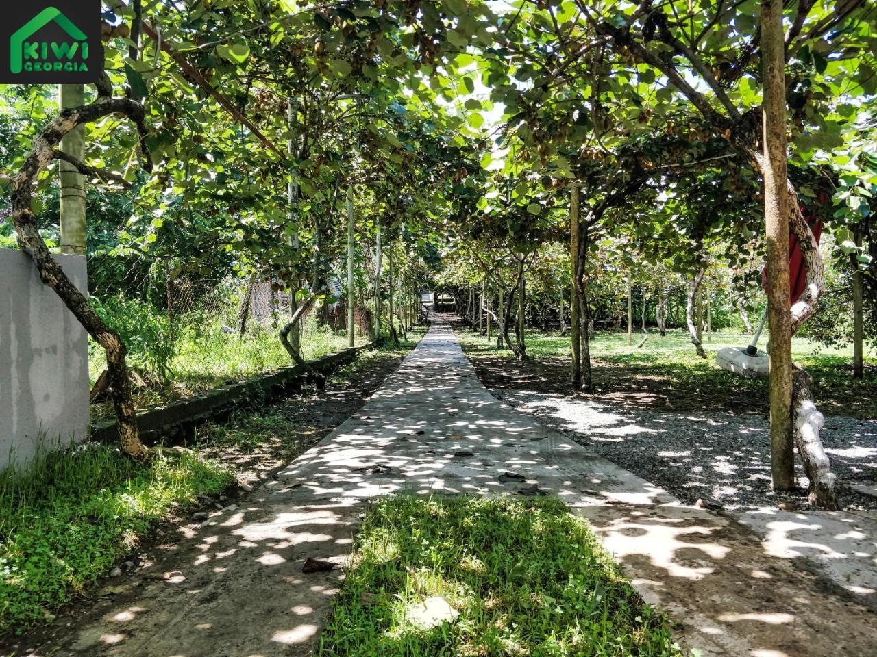 Kiwi Georgia Villa Kobuleti Exterior photo